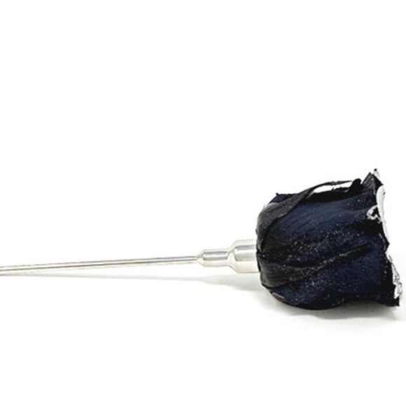 Chrome Dipped Rose Box - Picture 2 of 8